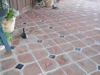 Dog Prints in 8' x 8' Handmade Brick Pavers